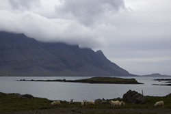 An den Ostfjorden